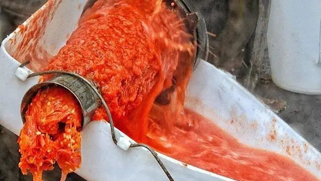 Non è estate senza salsa di pomodoro... Affrettati! Ennebiservice